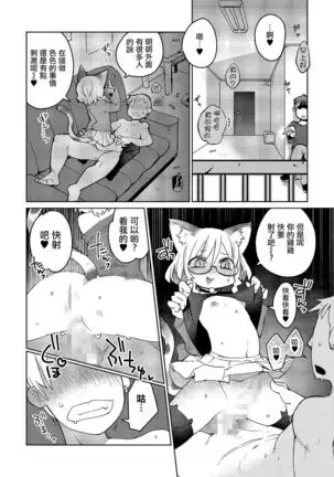 Mix Cat