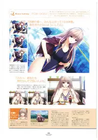 LOVELY CATION 1&2 VISUAL FAN BOOK