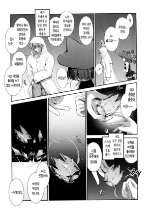 Nekokino to Ame no Machi