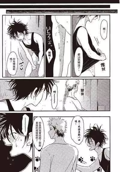 Yatamomo 1 | 八田百田 1