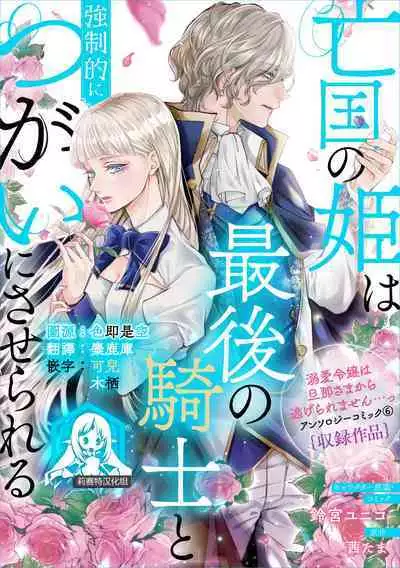 bōkoku no hime wa saigo no kishi to kyōsei-teki ni tsugai ni sa se rareru | 亡国的公主被强制许配给了最后的骑士