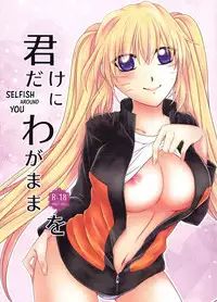 Kimi dake ni Wagamama o