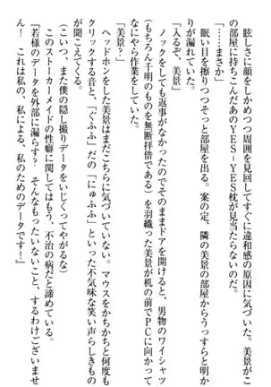 年上メイドの新婚日記
