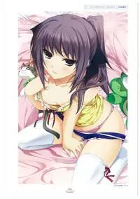 LOVELY CATION 1&2 VISUAL FAN BOOK