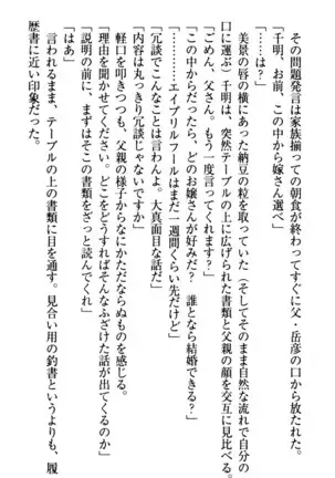 年上メイドの新婚日記