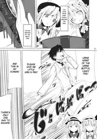 (C85) [Akari wa Honnori Tomoreba Ii (Kurokuro)] CCC (Touhou Project) [English] [Usagi =]