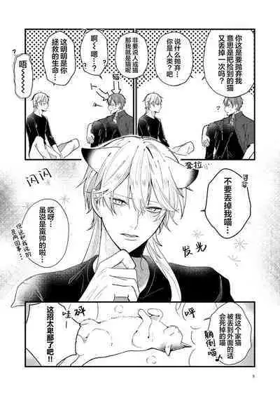 捡回家的猫竟是猫妖