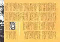 [Nishieda] Dendrobium