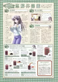 Canvas Sepia iro no motif Visual Fan Book