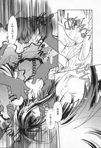 [Nyan] from Happiness