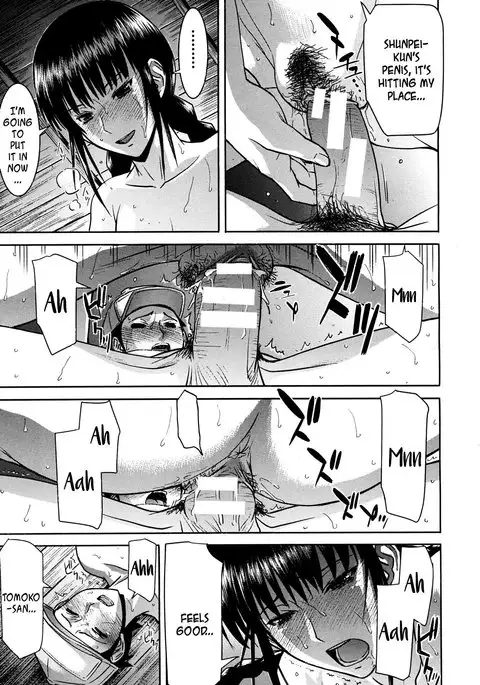 Cicada of the Showa Era