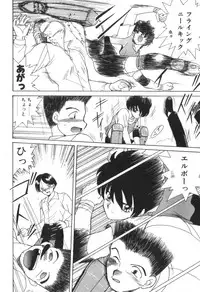 [Akifuji Satoshi] Four Seasons