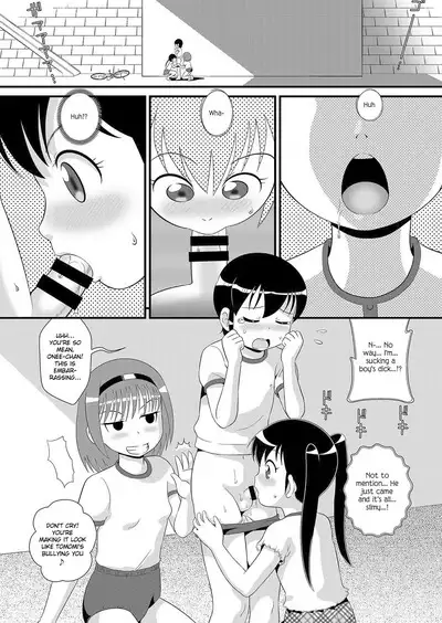 Anesonteihi Boku wa Onee-chan no Omocha ja nai