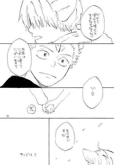 海の虹が沈む森