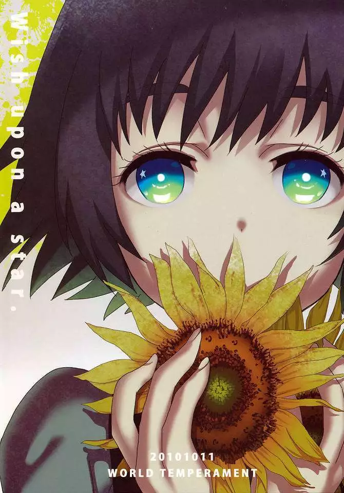 Wish a upon star シュタインズ・ゲート