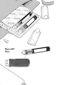 (C76) [Behind Moon (Q)] Dulce Report 11 [English] [SaHa]