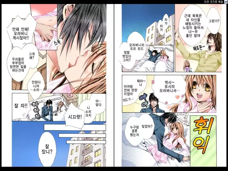 Naisho no Love Mariage | 비밀의 결혼