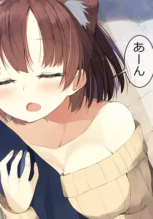 Ore no Kanojo ni wa Nekomimi ga Haeteiru