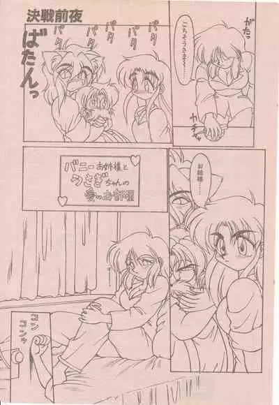 新造人間ストラグルバニー未収録分