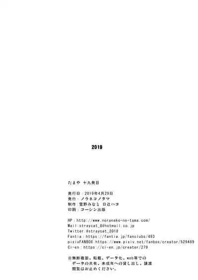 たまや 十九発目