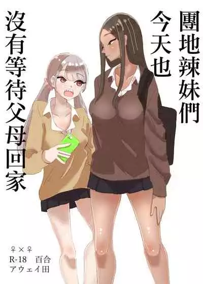 [Aweida] Danchi Gal wa Kyou mo Oya no Kaeri o Matte Inai | 團地辣妹們今天也沒有等待父母回家 [Chinese] [沒有漢化]