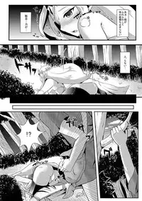 Futanari Zelda Soushuuhen