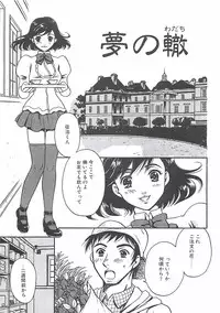 [Sakura Eri] Shoujoki