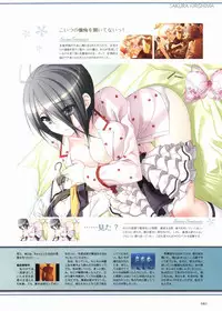 Sakura Sakura Visual Fan Book