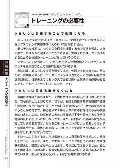 いますぐデキる 図説おしりエッチマニュアル