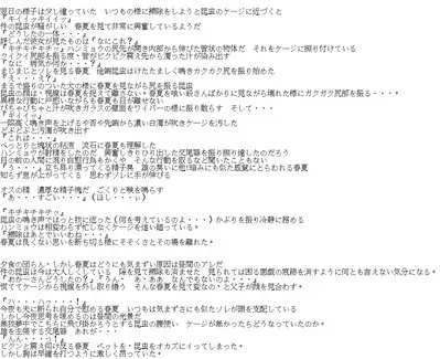 春夏×ハンミョウ