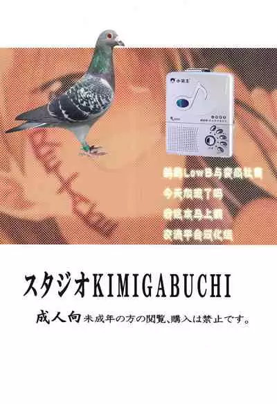 Junjou JS Hikari-chan to Love Hame shichaimashita