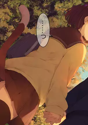 Ore no Kanojo ni wa Nekomimi ga Haeteiru