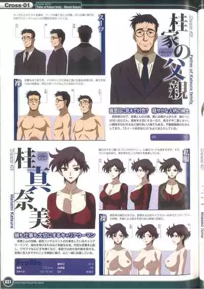 Cross Days Visual Fan Book